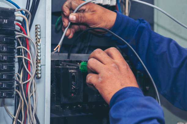 Best Ceiling Fan Installation Electrician  in Bridge City, TX